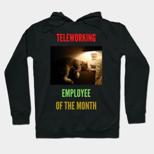 Teleworking - Employee of the Month: The Cat III Hoodie